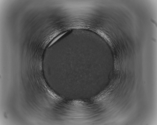 X0000097490393200802291438