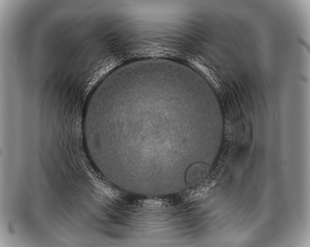 X0000097490394200802291438