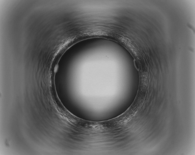 X0000097490395200802291438