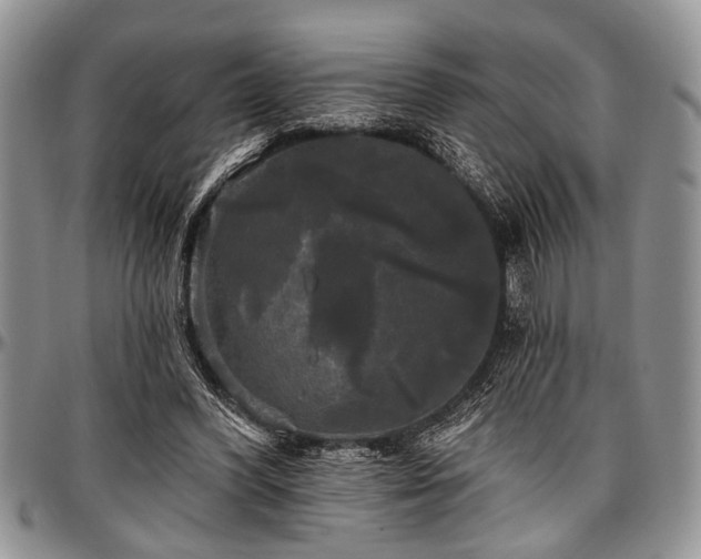 X0000097490396200802291438