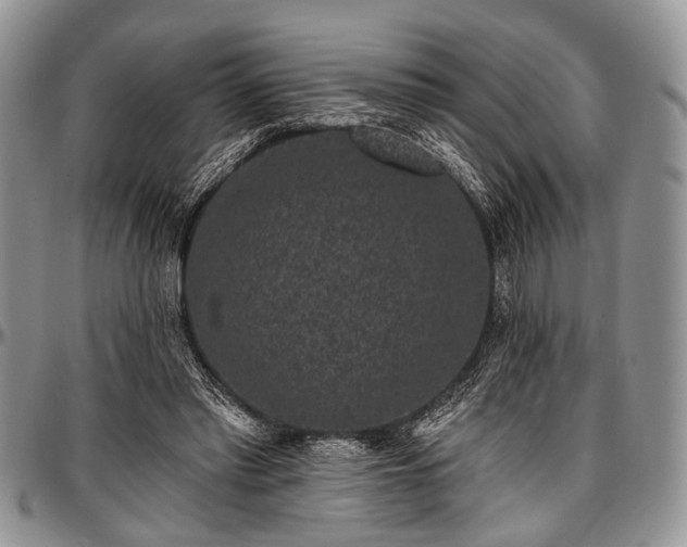 X0000097490397200802291438