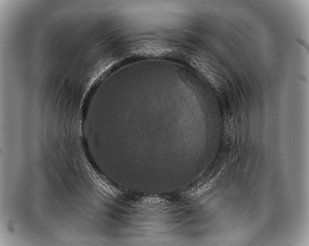 X0000097490399200802291437