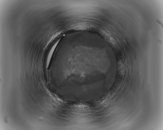 X0000097490400200802291437