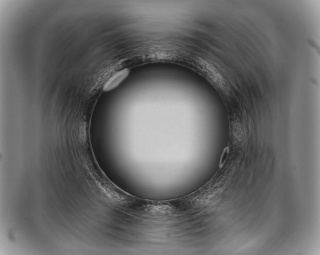 X0000097490401200802291437