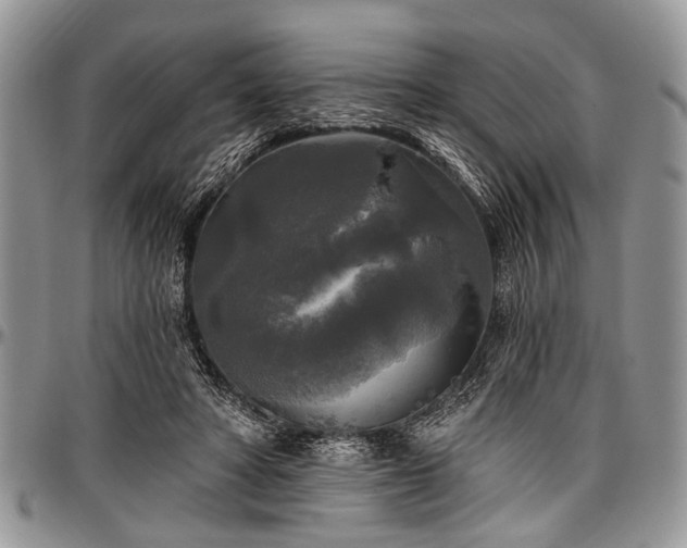 X0000097490402200802291437