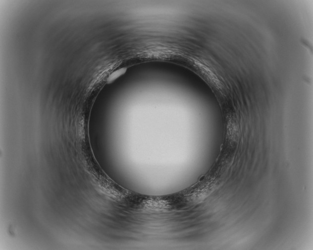 X0000097490403200802291437