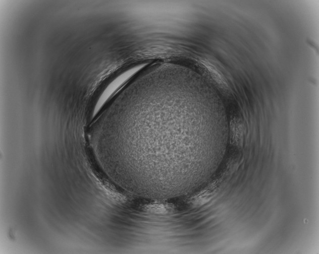 X0000097490404200802291437