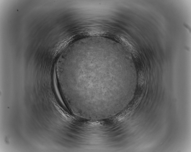 X0000097490405200802291437