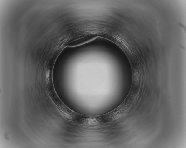 X0000097490406200802291437