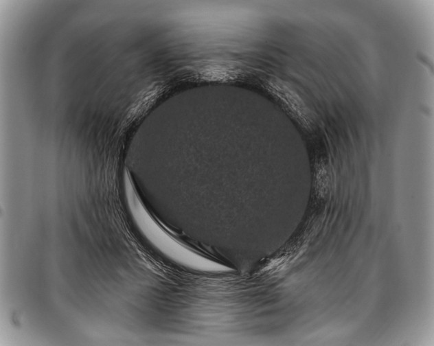 X0000097490407200802291437