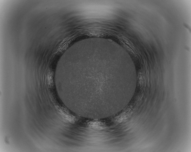 X0000097490408200802291437