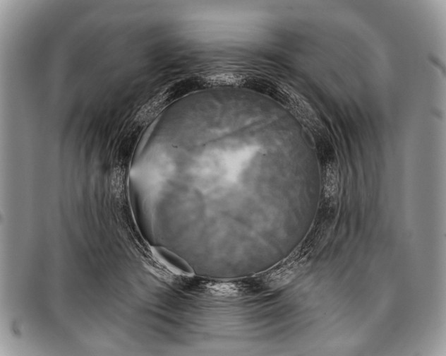 X0000097490409200802291437