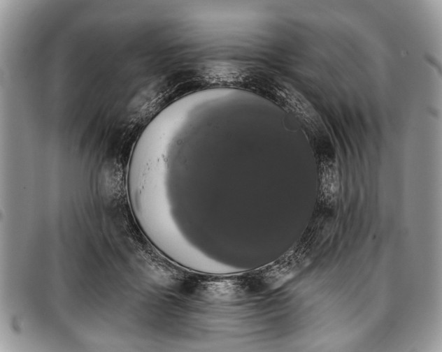 X0000097490411200802291437