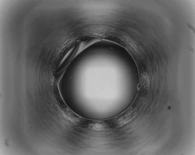 X0000097490412200802291437