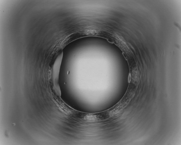 X0000097490413200802291437