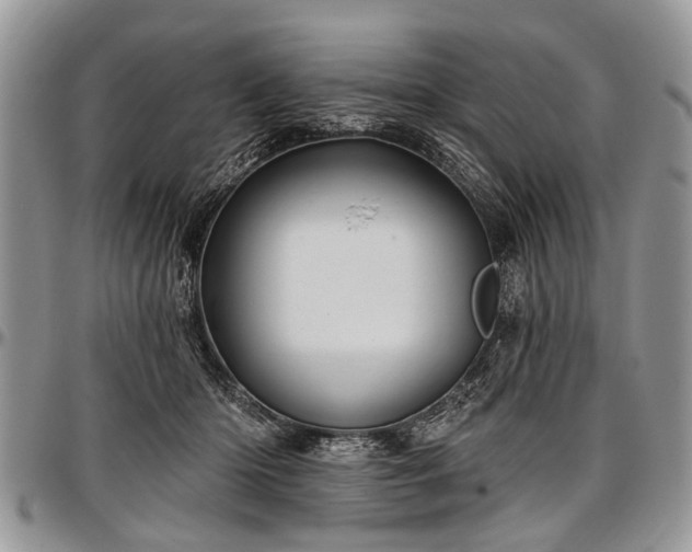 X0000097490414200802291437