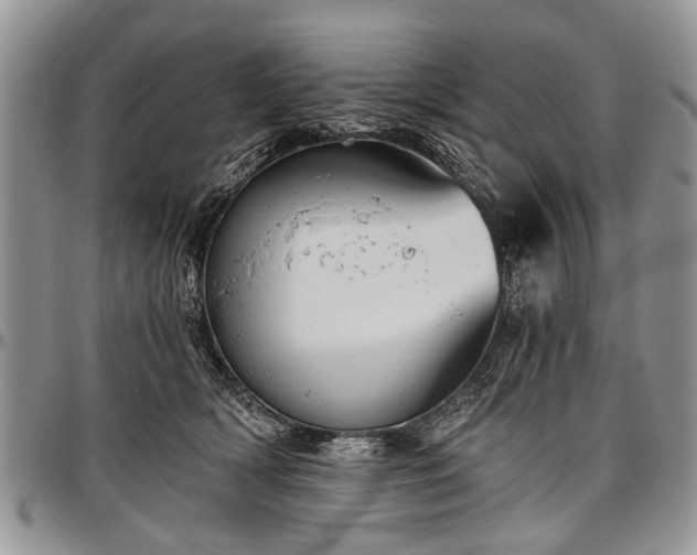 X0000097490418200802291437