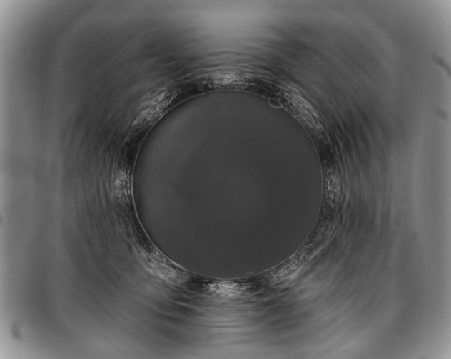 X0000097490419200802291437