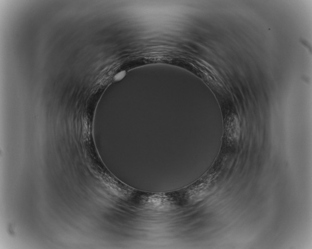 X0000097490420200802291437