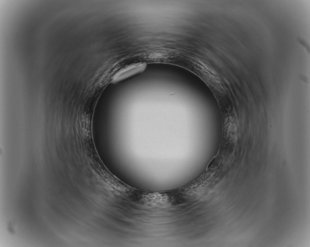 X0000097490421200802291437