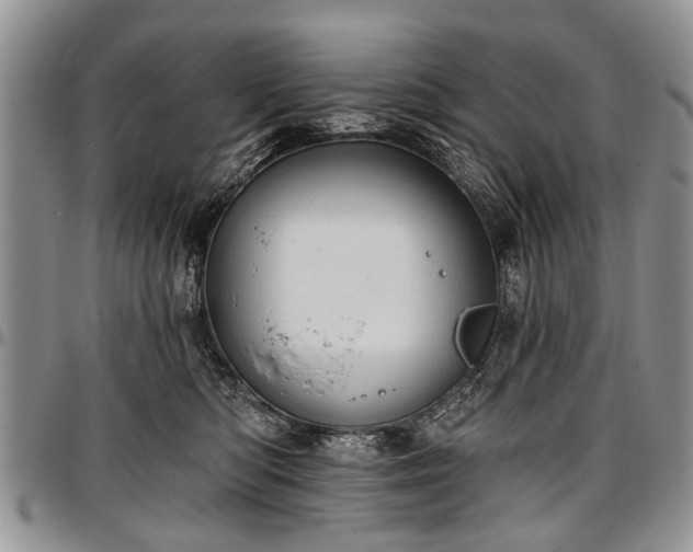 X0000097490422200802291437