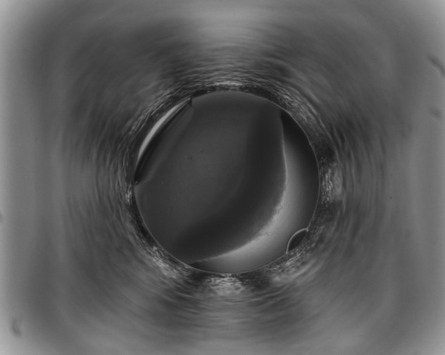 X0000097490424200802291437