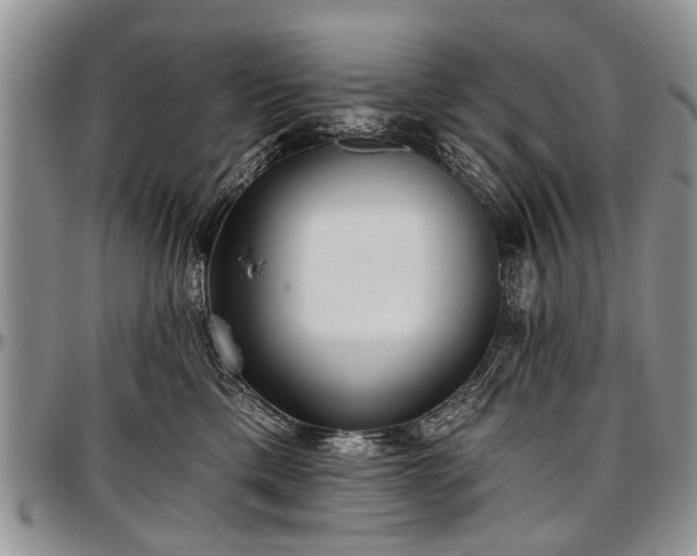 X0000097490425200802291437