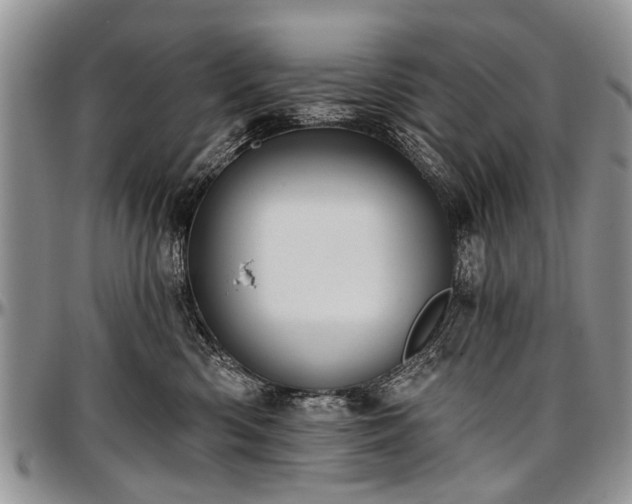 X0000097490426200802291437