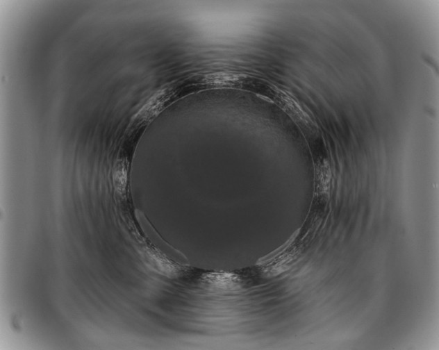 X0000097490427200802291437