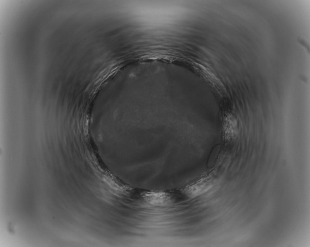 X0000097490428200802291437