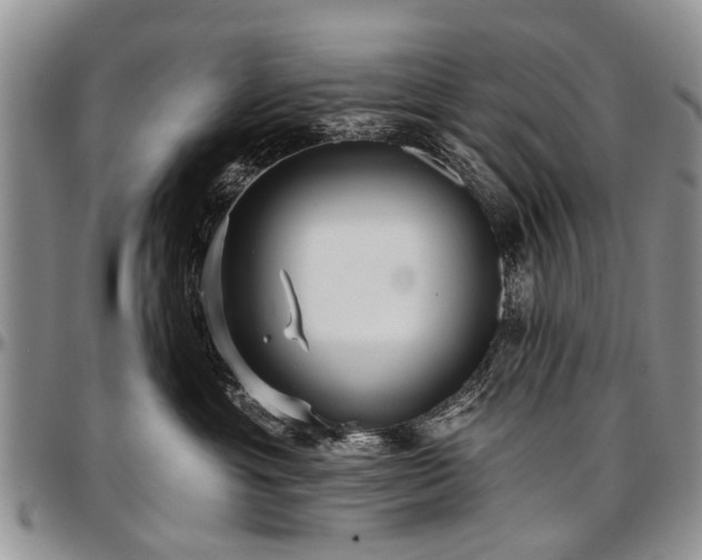 X0000097490429200802291437