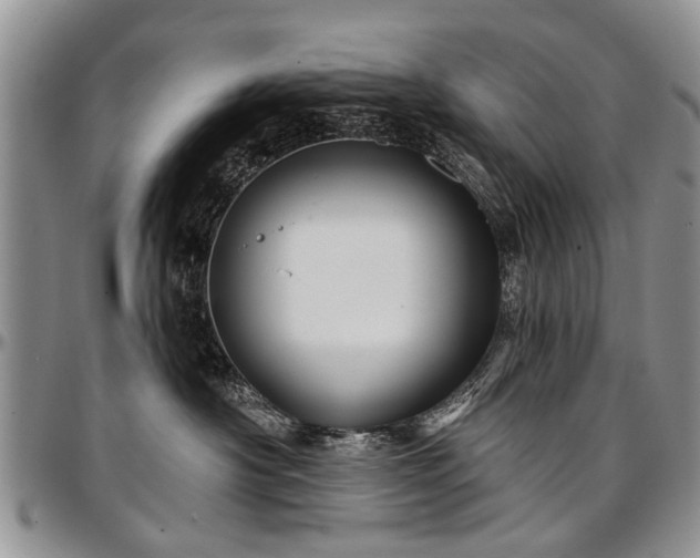 X0000097490430200802291437