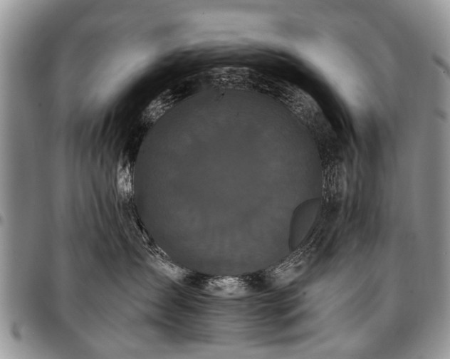 X0000097490431200802291437