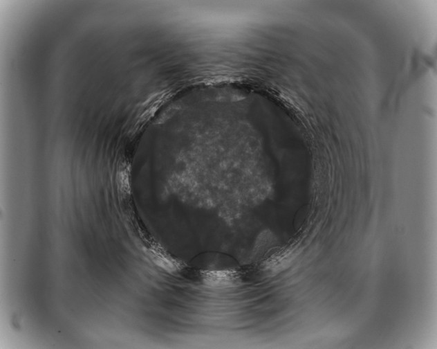 X0000097490432200802291437