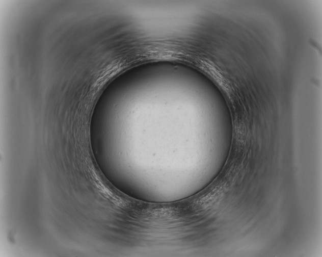 X0000097490433200802291436