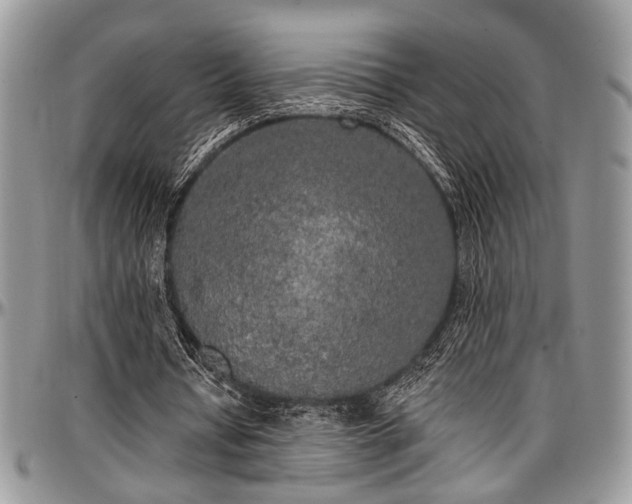 X0000097490434200802291436