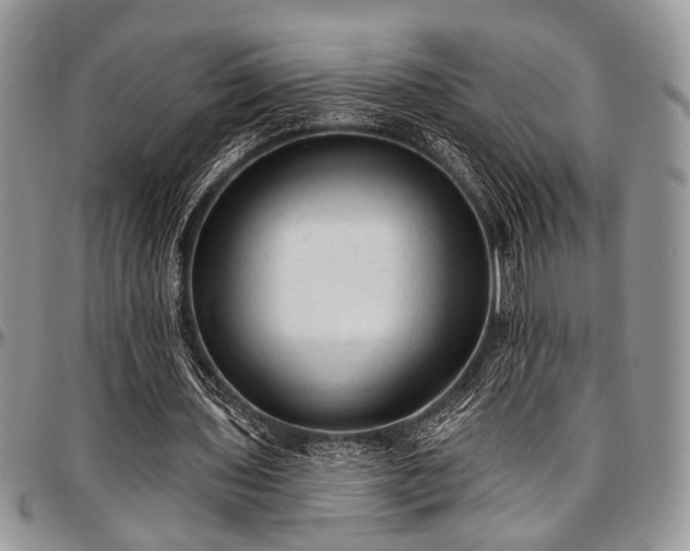 X0000097490435200802291436