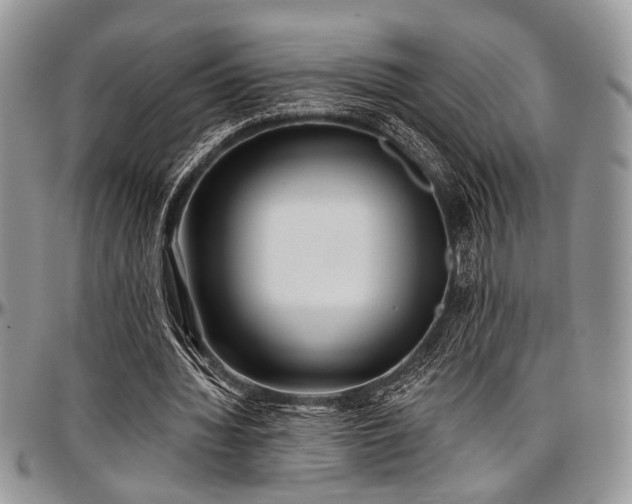 X0000097490436200802291436