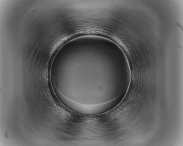 X0000097490438200802291436