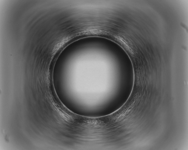 X0000097490439200802291436