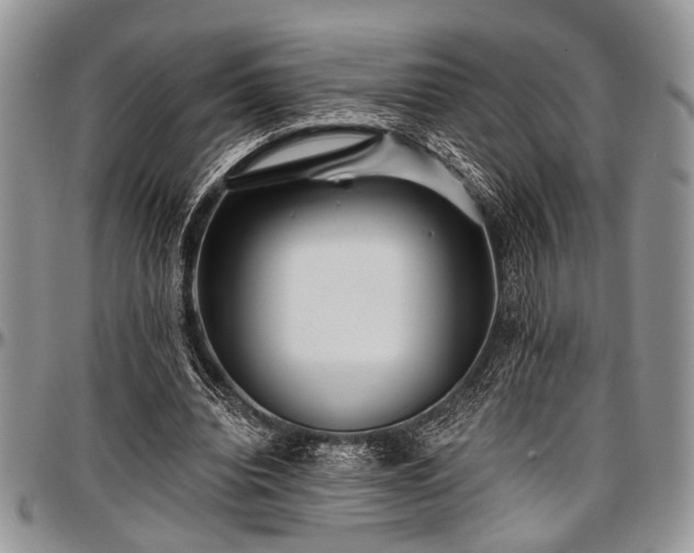 X0000097490440200802291436