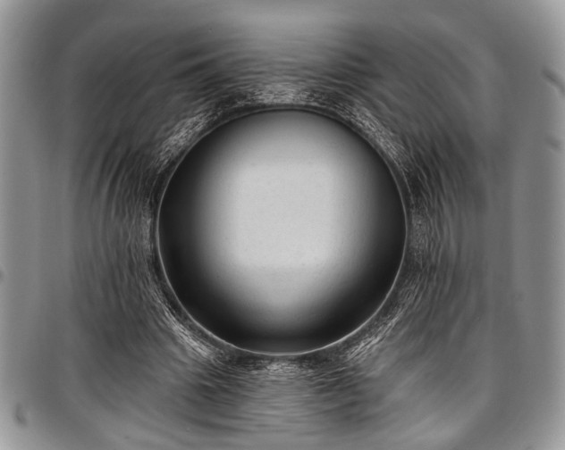 X0000097490441200802291436