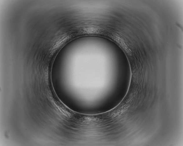 X0000097490442200802291436