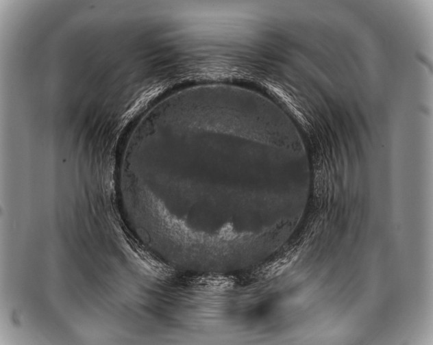 X0000097490443200802291437