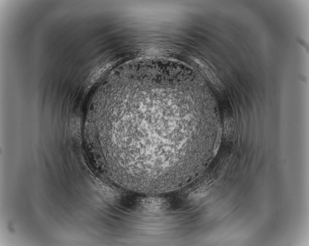 X0000097490444200802291437