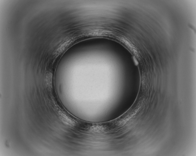 X0000097490445200802291437