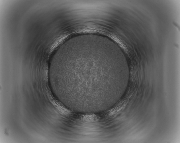 X0000097490446200802291437