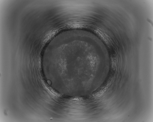 X0000097490447200802291437