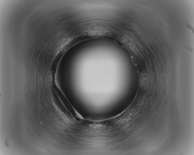 X0000097490448200802291437