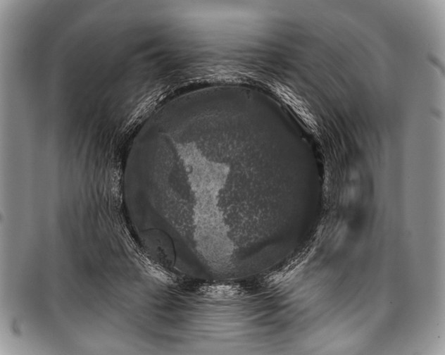 X0000097490449200802291437